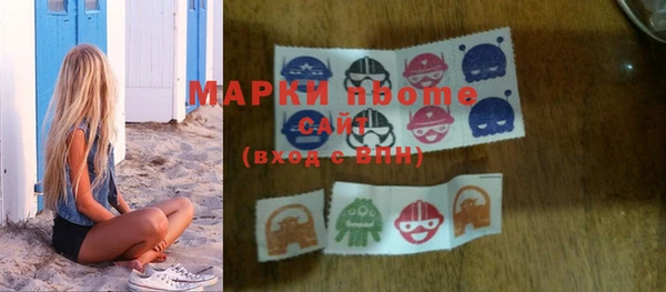 индика Осинники