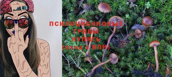 первитин Алексин